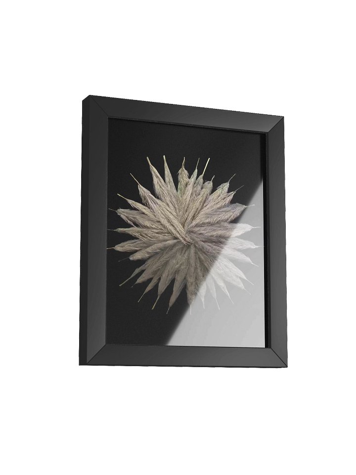 Joint Feathers product image (8)