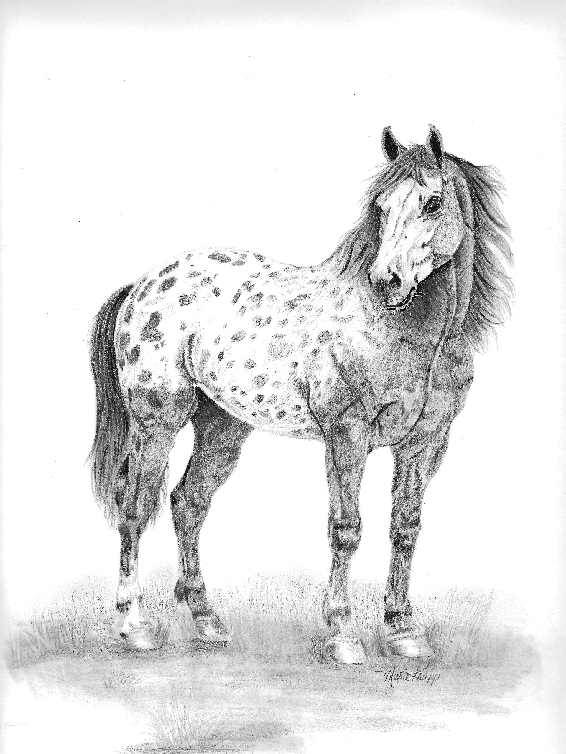 Legacy in Spots - Original Graphite Drawing product image (3)