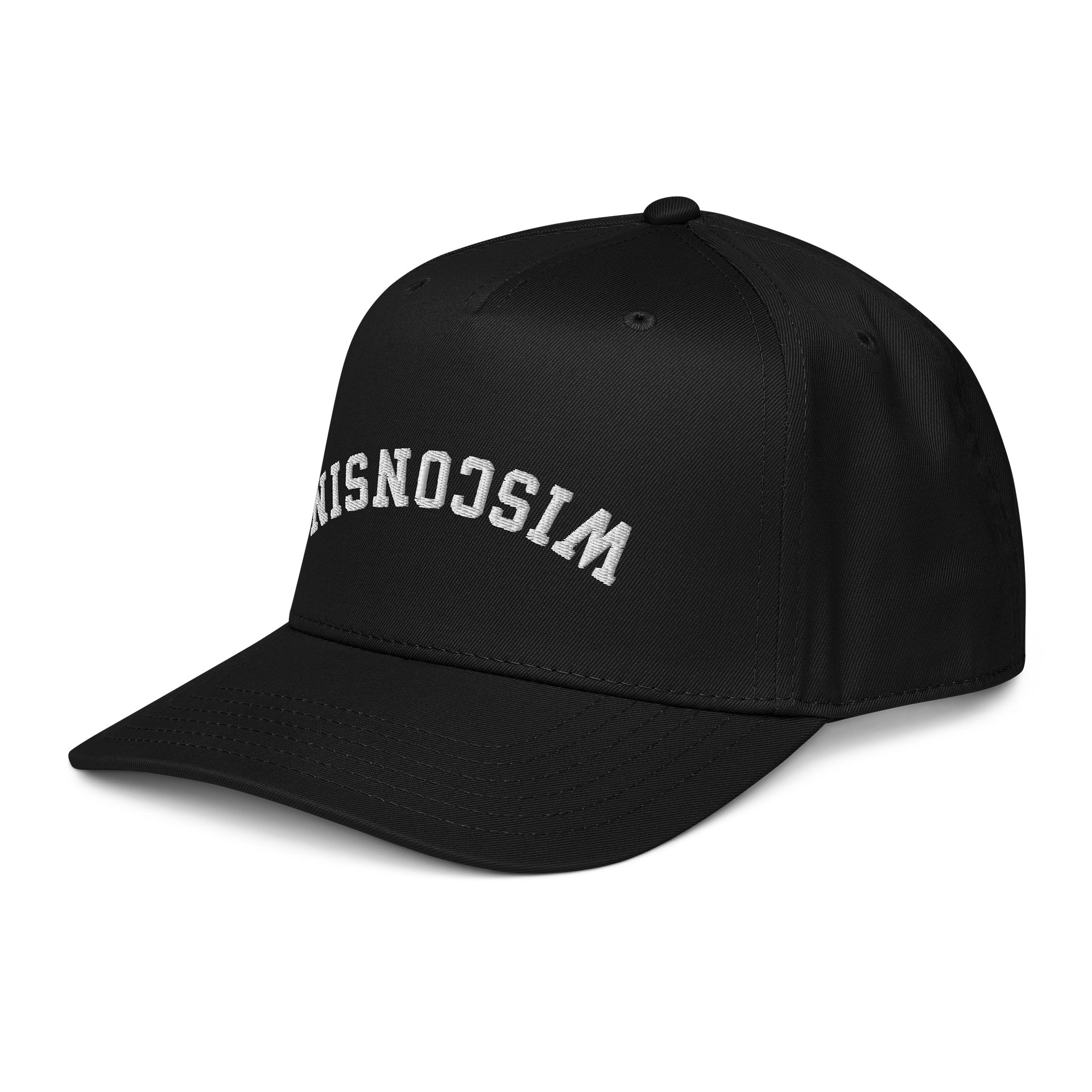 Backwards Wisconsin product image (3)