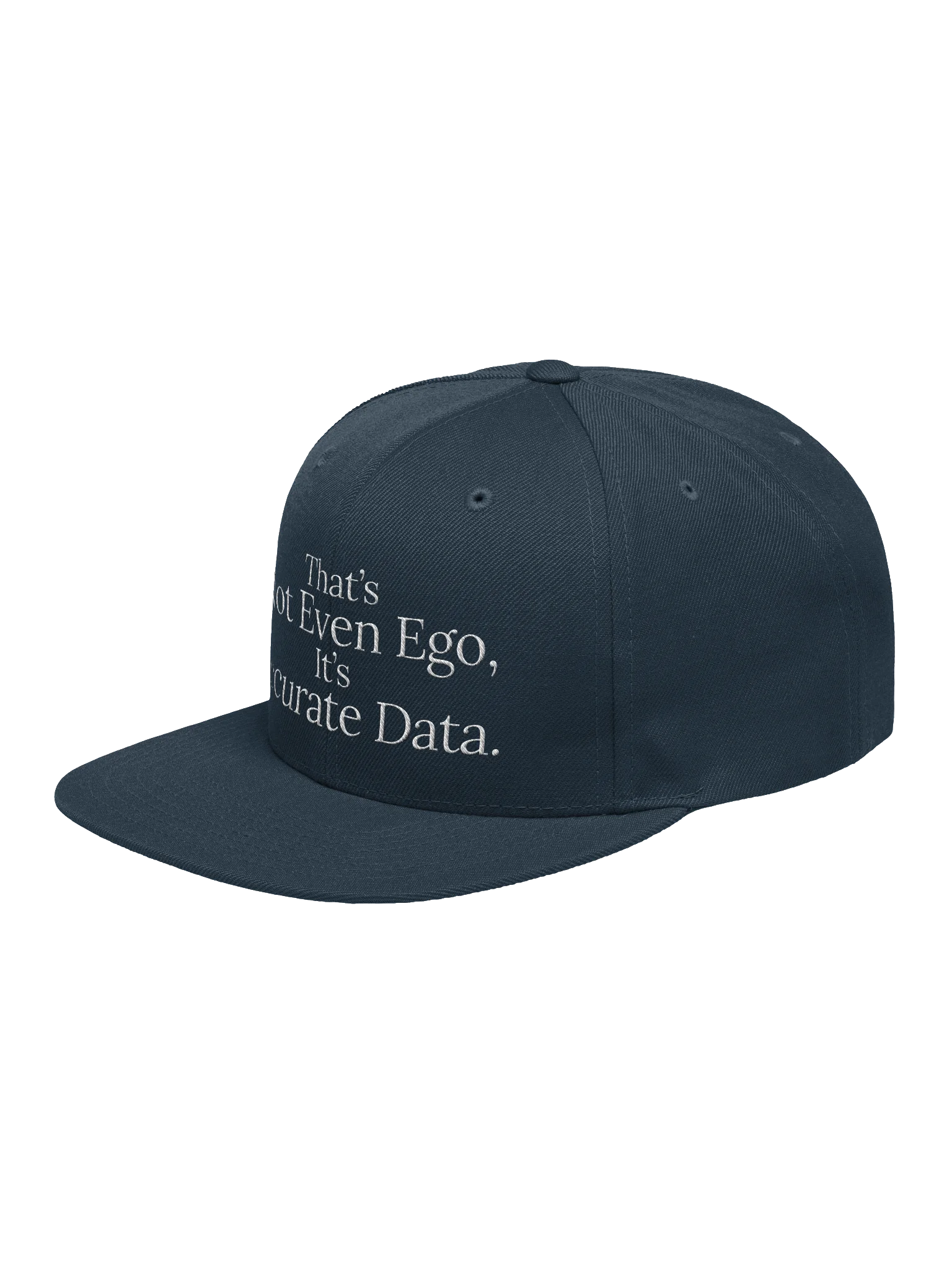 Accurate Data Snapback product image (3)