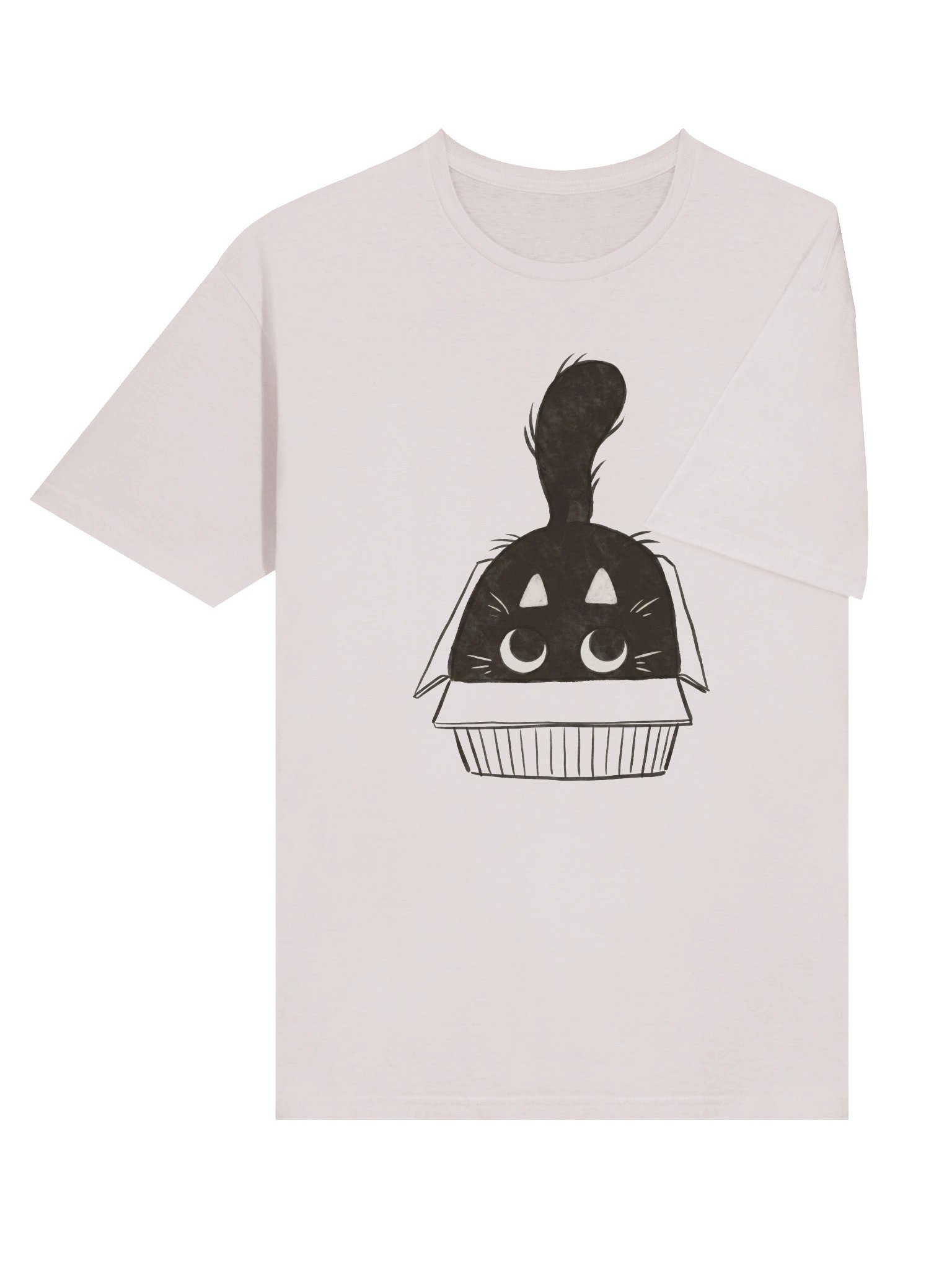 Cat In Box T-Shirt product image (34)