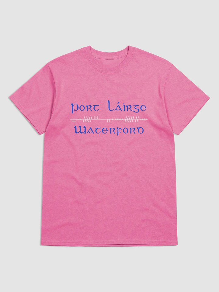 Waterford/Port Láirge Scholastic style Ogham Printed T-shirt product image (1)