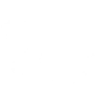 Daeodon
