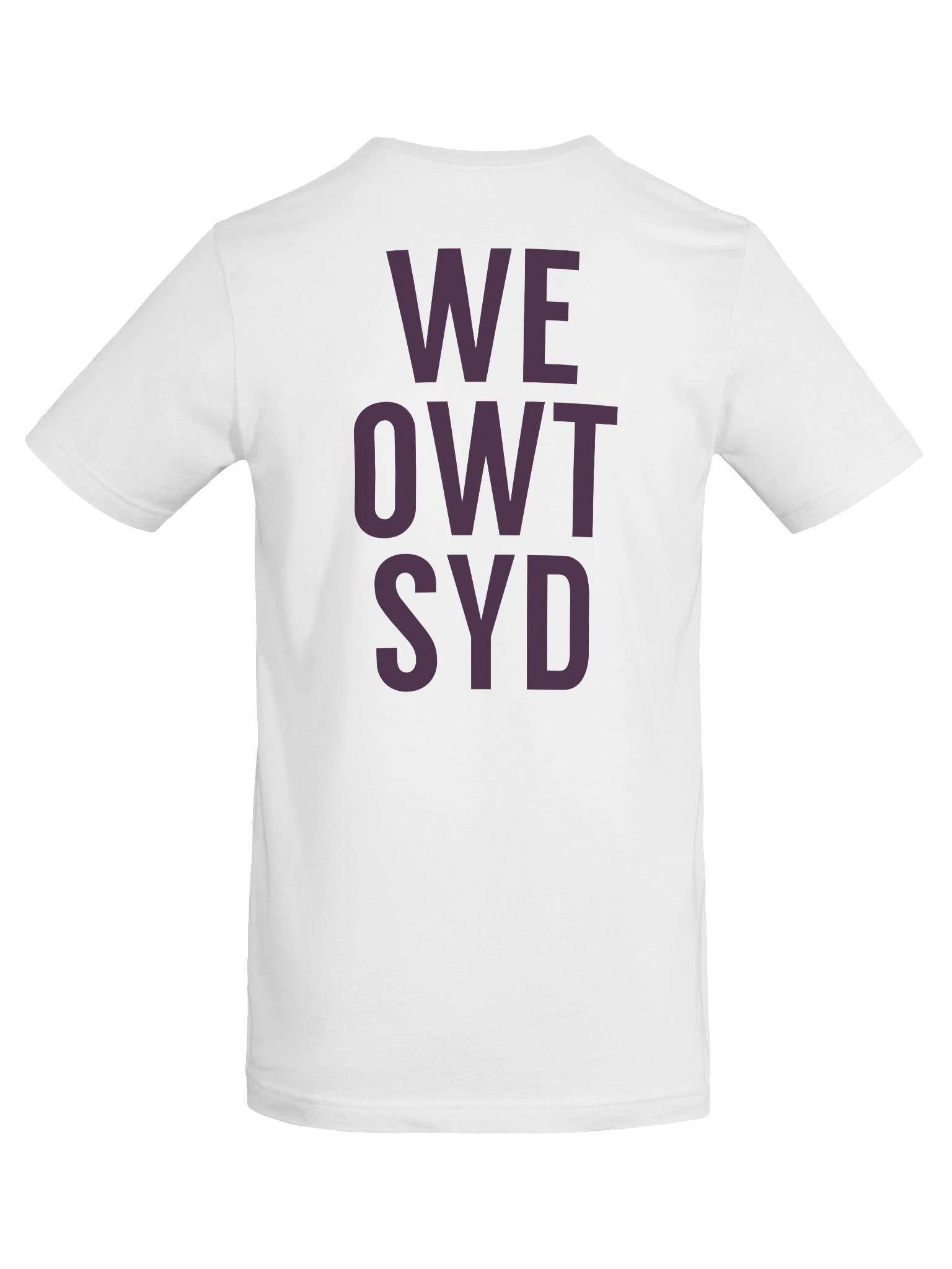 WeOwtsyd Gen 1 Intro Tee — Light product image (6)