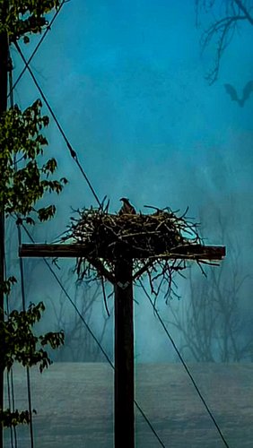 Great minds discuss ideas; average minds discuss events; small minds discuss people ~ Eleanor Roosevelt