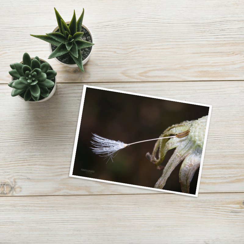 One Last Wish Greeting Card product image (1)