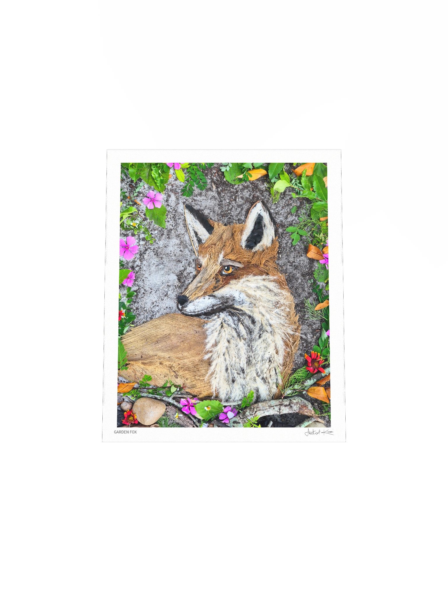 GARDEN FOX | Fine Art Print product image (7)