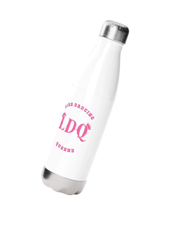 LDQ Water Bottle product image (2)