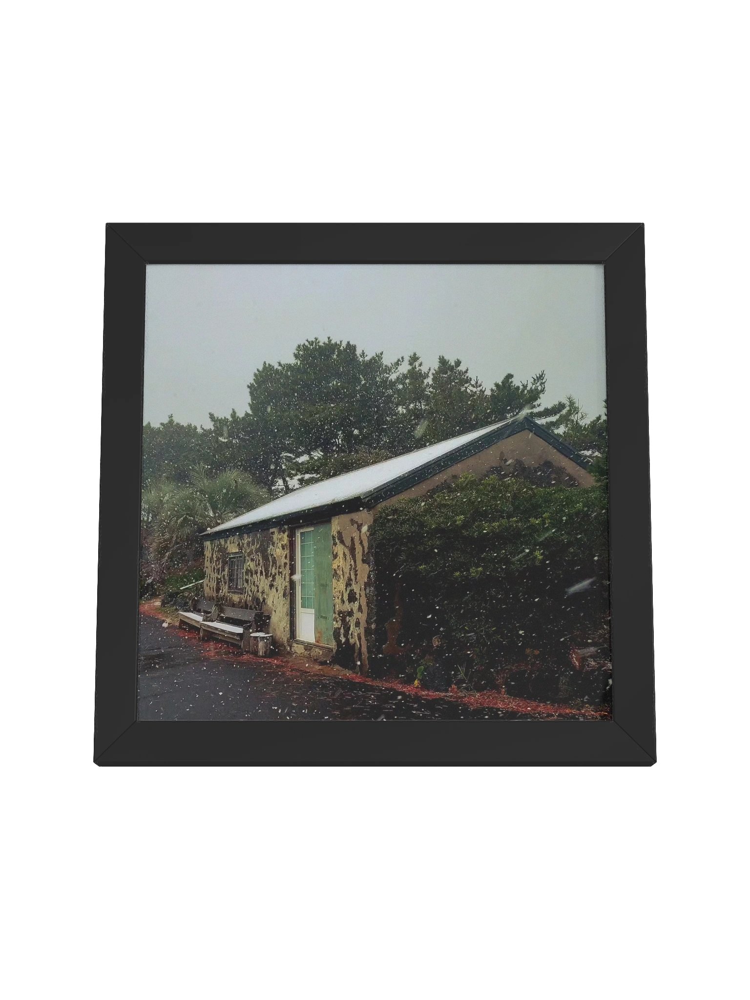 Winter product image (4)