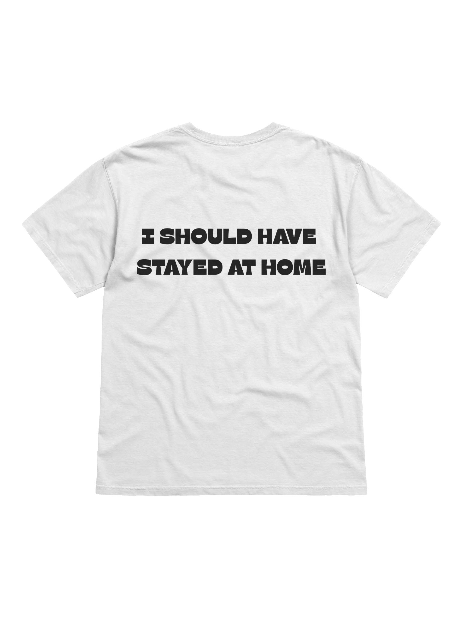 I Should've Stayed At Home T-Shirt product image (12)