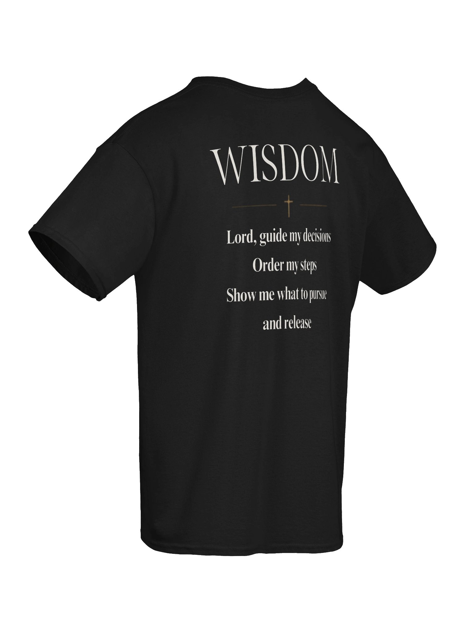 IPFYT Wisdom Tee product image (95)