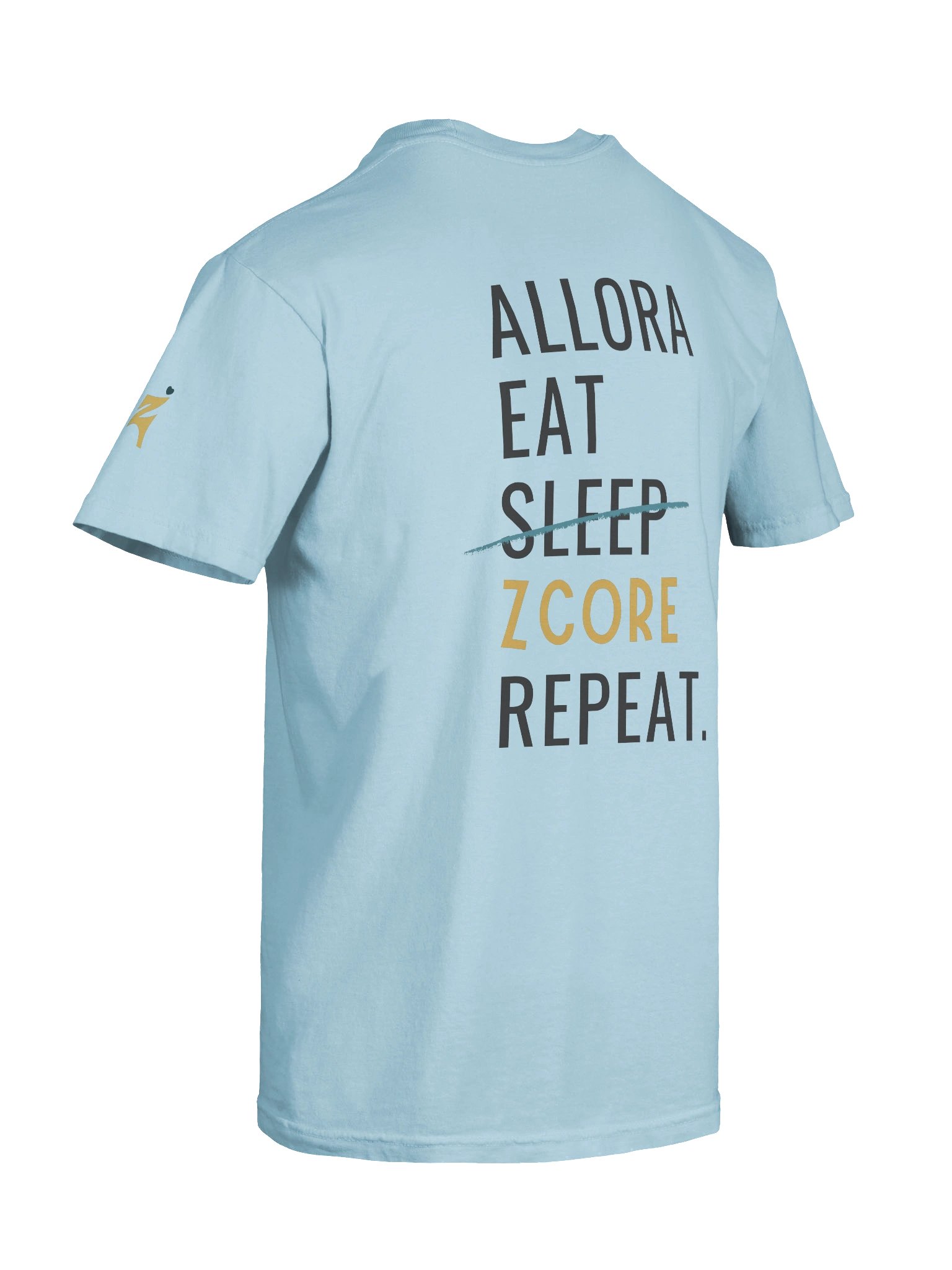 ZCORE Checklist product image (8)