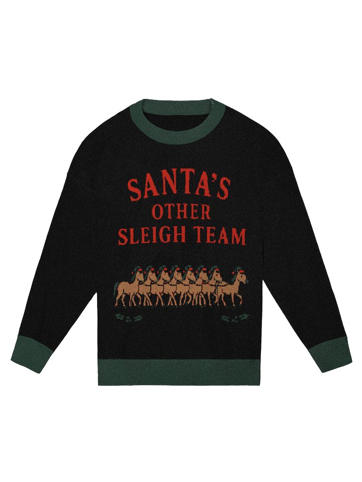The Other Sleigh Team Sweater (wholesale) product image (1)