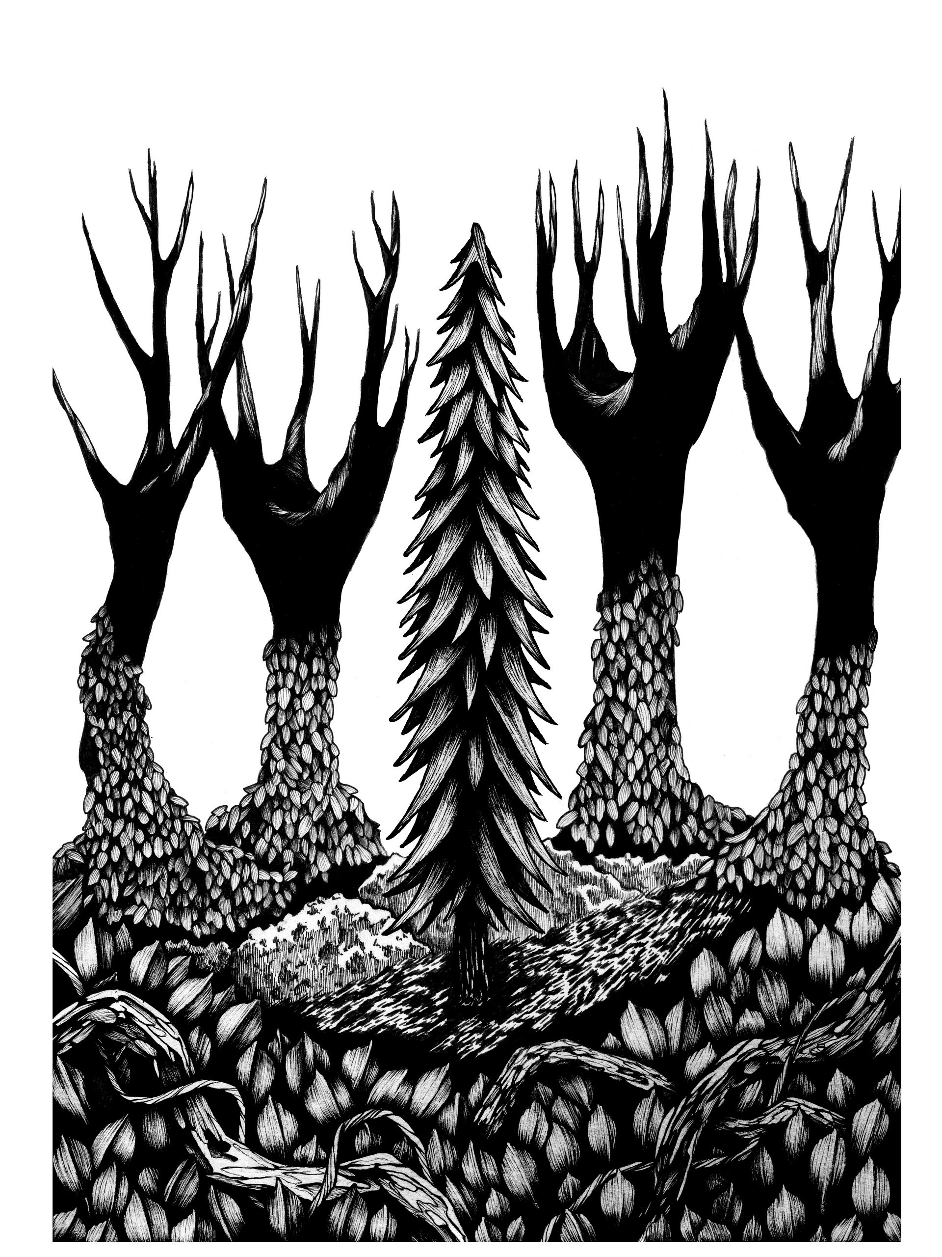 Saltuswood Gap Line Art Pack 1 product image (5)