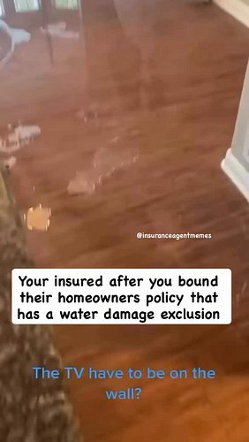 I made you initial the exclusion. Remember? #insuranceagentmemes #insuranceagentproblems #insurancememes #sales #hardmarket