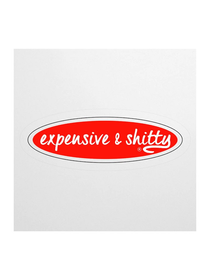 EXPENSIVE & SHITTY STICKER (SINGLE) product image (1)