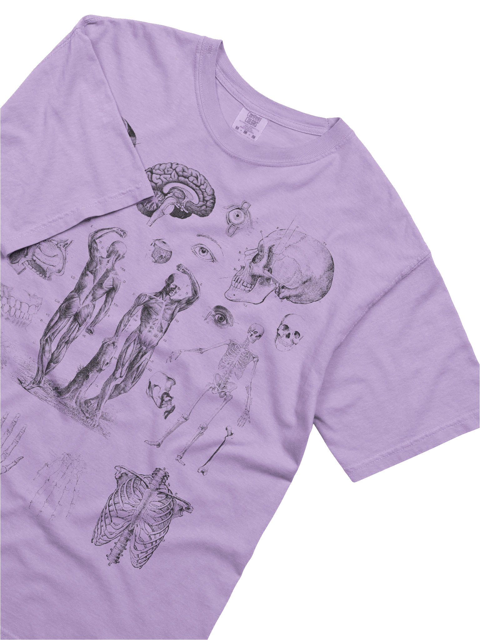Dark Academia Anatomy Shirt – Vintage Human Anatomy Sketch Graphic Tee product image (32)