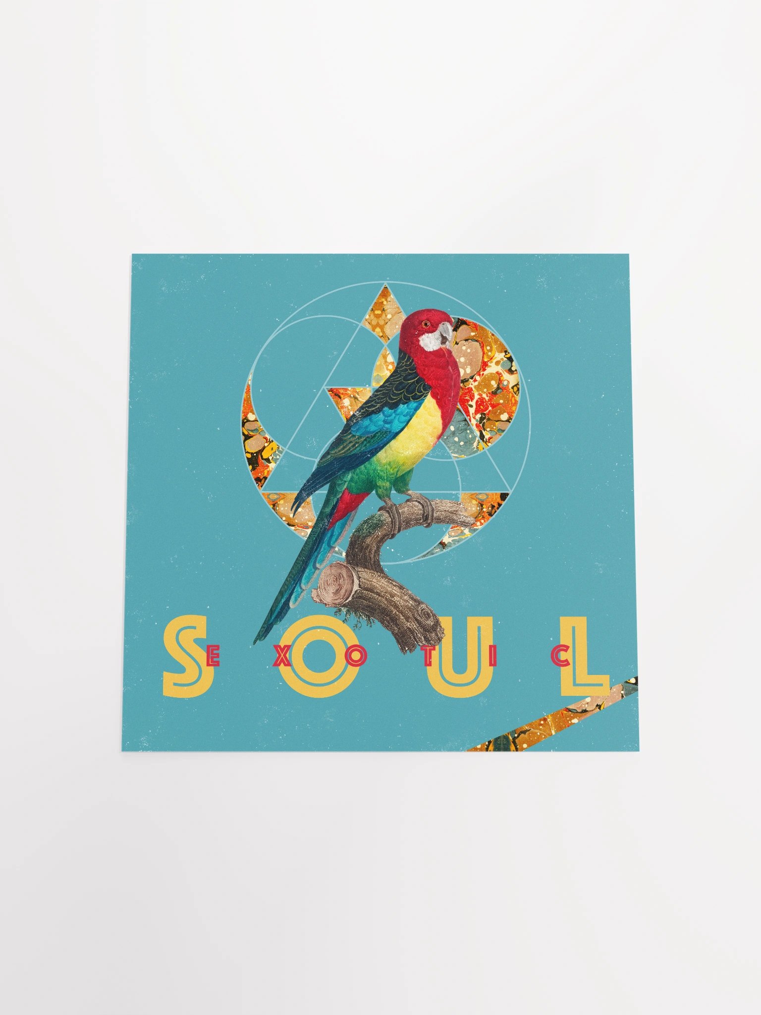 Vibrant Parrot Perch Poster product image (19)