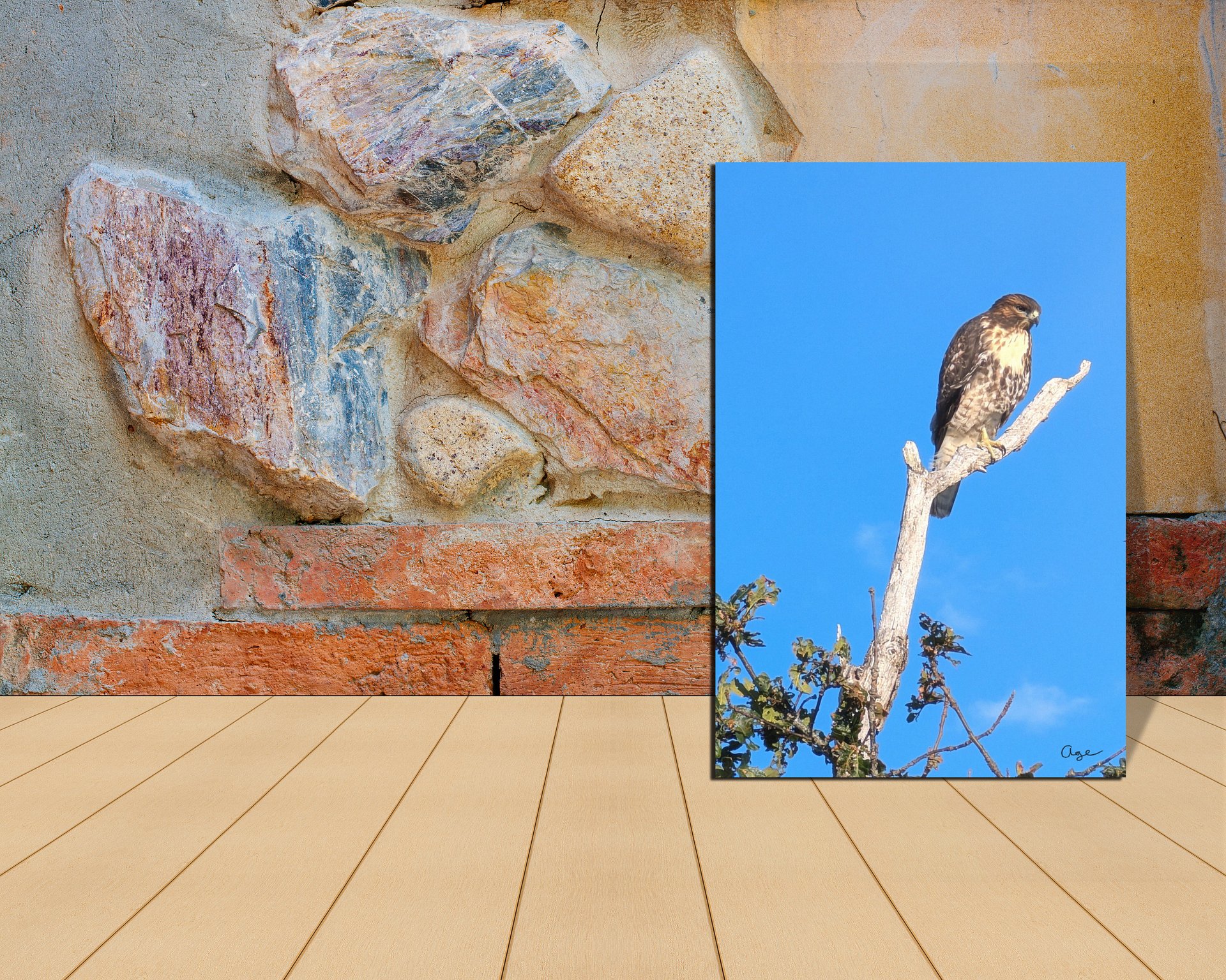 The Sentinel - Fine Art Print product image (2)