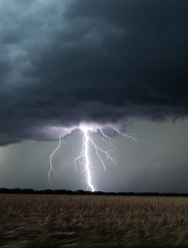 Parfois, durant une chasse tu oses l’interdit, comme sortir ton boîtier par la fenêtre sur une dirt road remplie de nids-de-p...