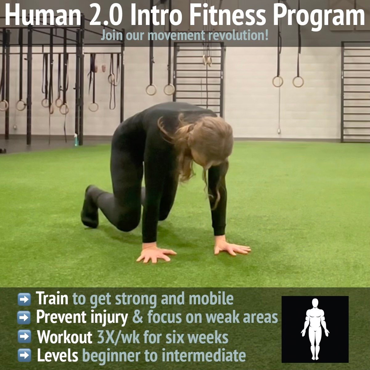 Human 2.0 Foundations Beginner Woman's Strength Program product image (1)