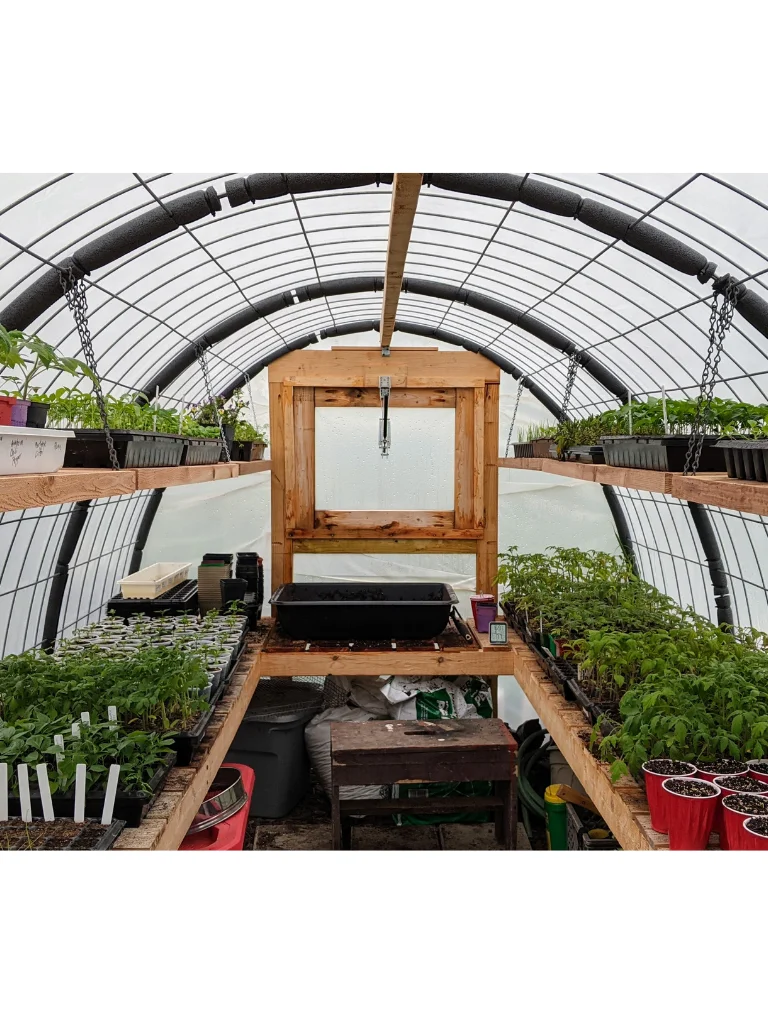 Cattle Panel Hoop House Greenhouse: DIY Build Plans & Construction Guide product image (2)