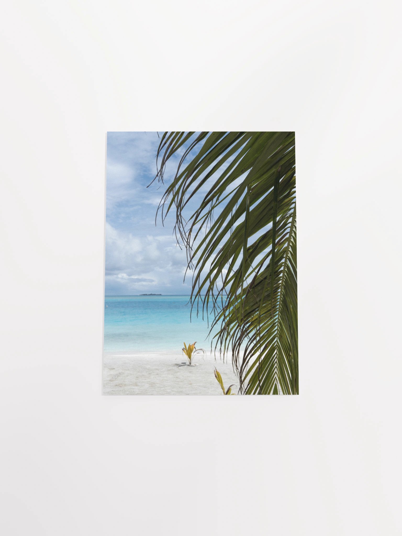 Maldives palm - Enhanced Matte Paper Poster product image (16)