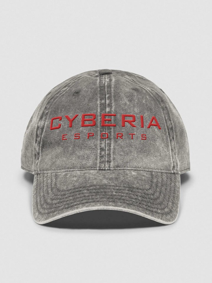 Otto Vintage x Cyberia Esports Wash Dad Hat product image (1)