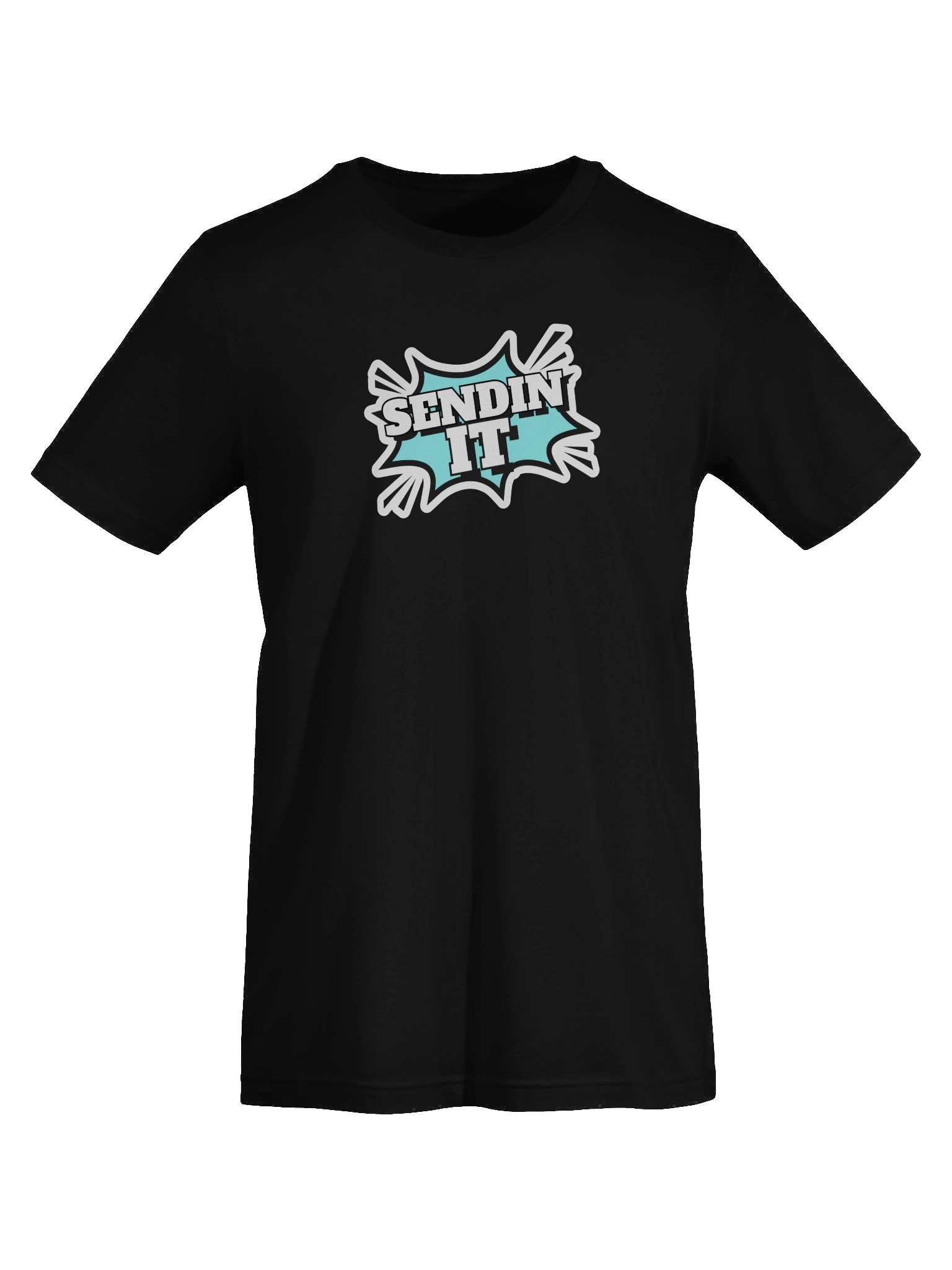 Sendin It! - Women's Tee product image (13)