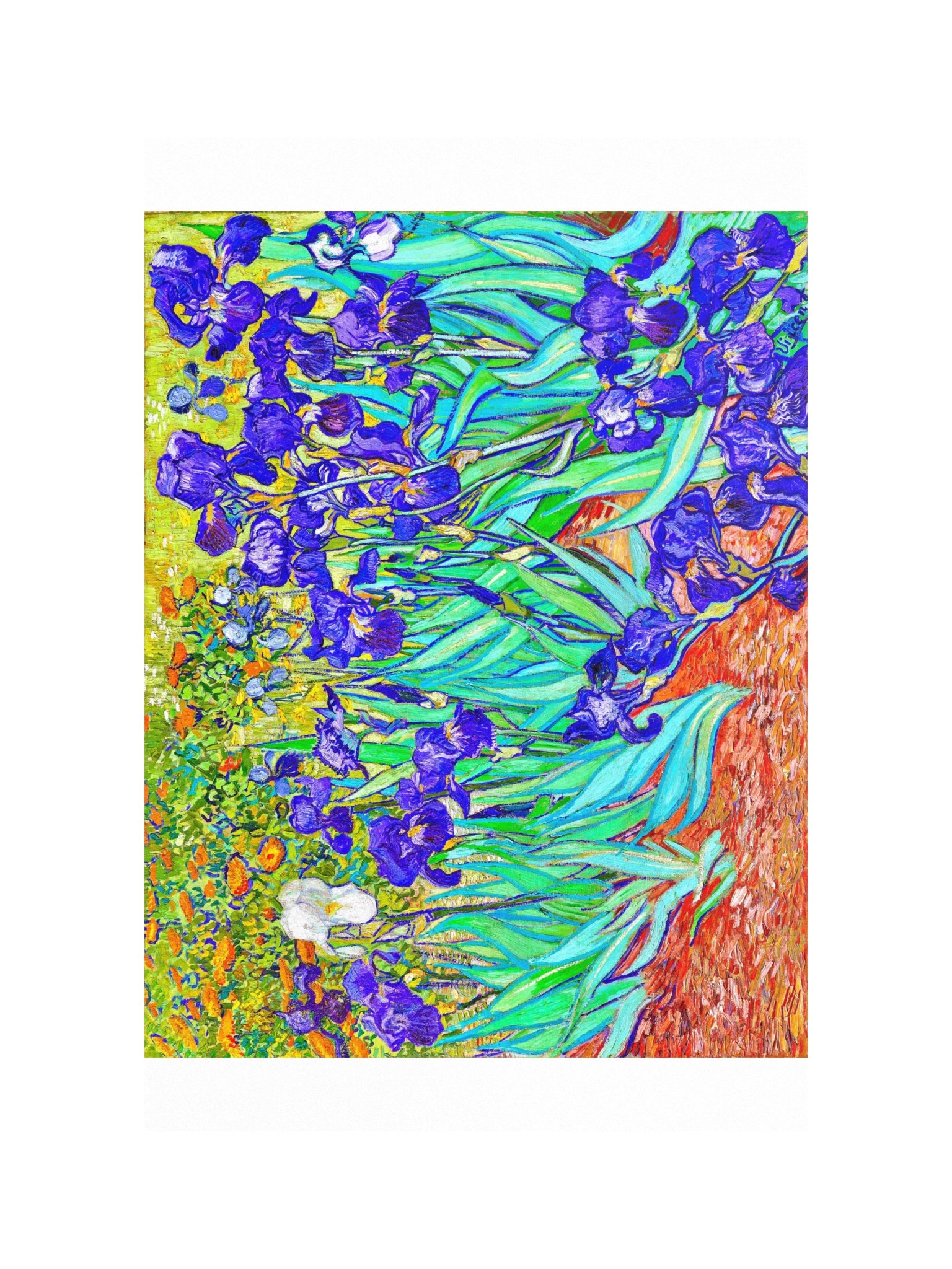 Irises — Large Poster product image (1)