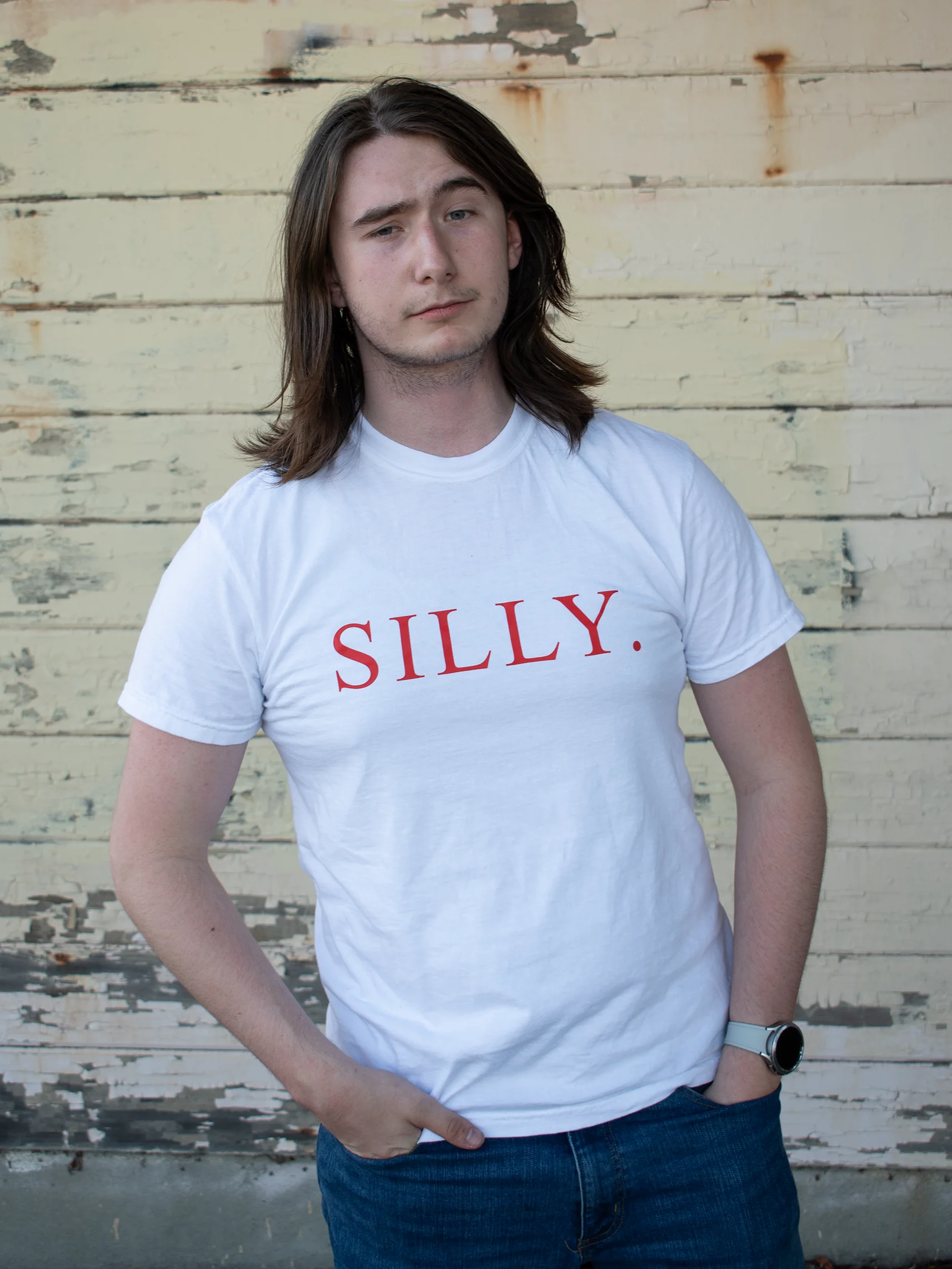 The Silly Shirt product image (35)