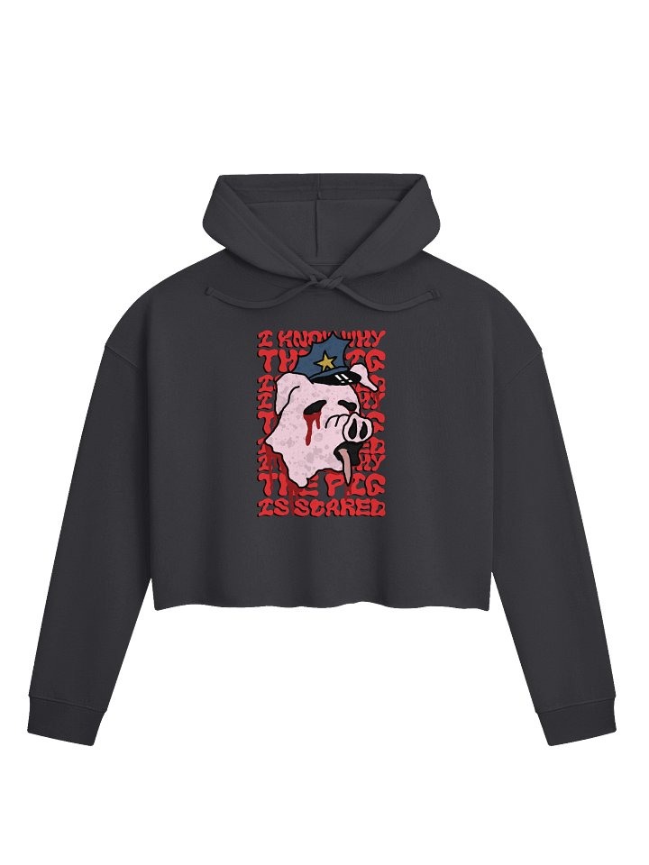 Why Pigs Need Mud Crop Hoodie product image (1)