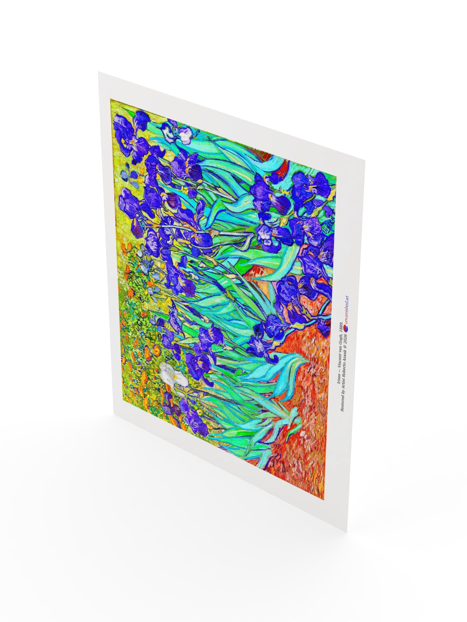 Irises — Poster product image (17)