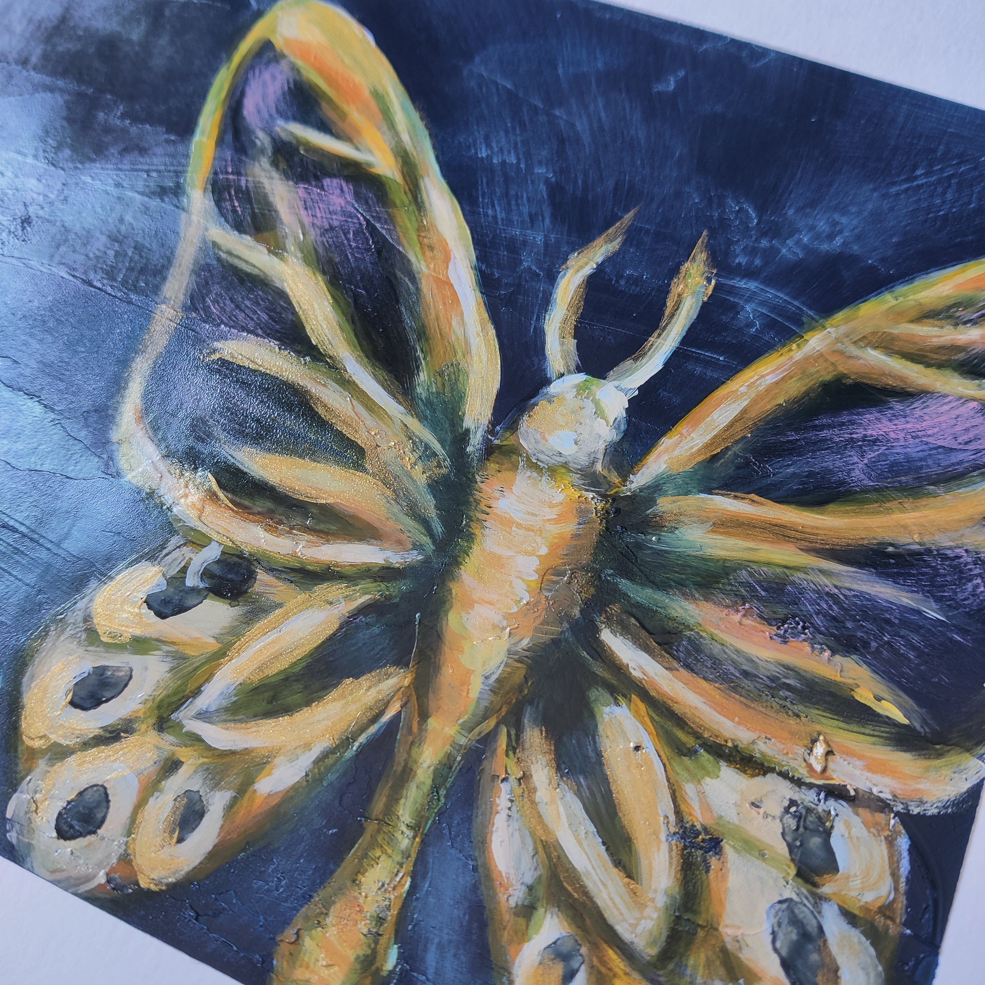 Moth Collection product image (7)