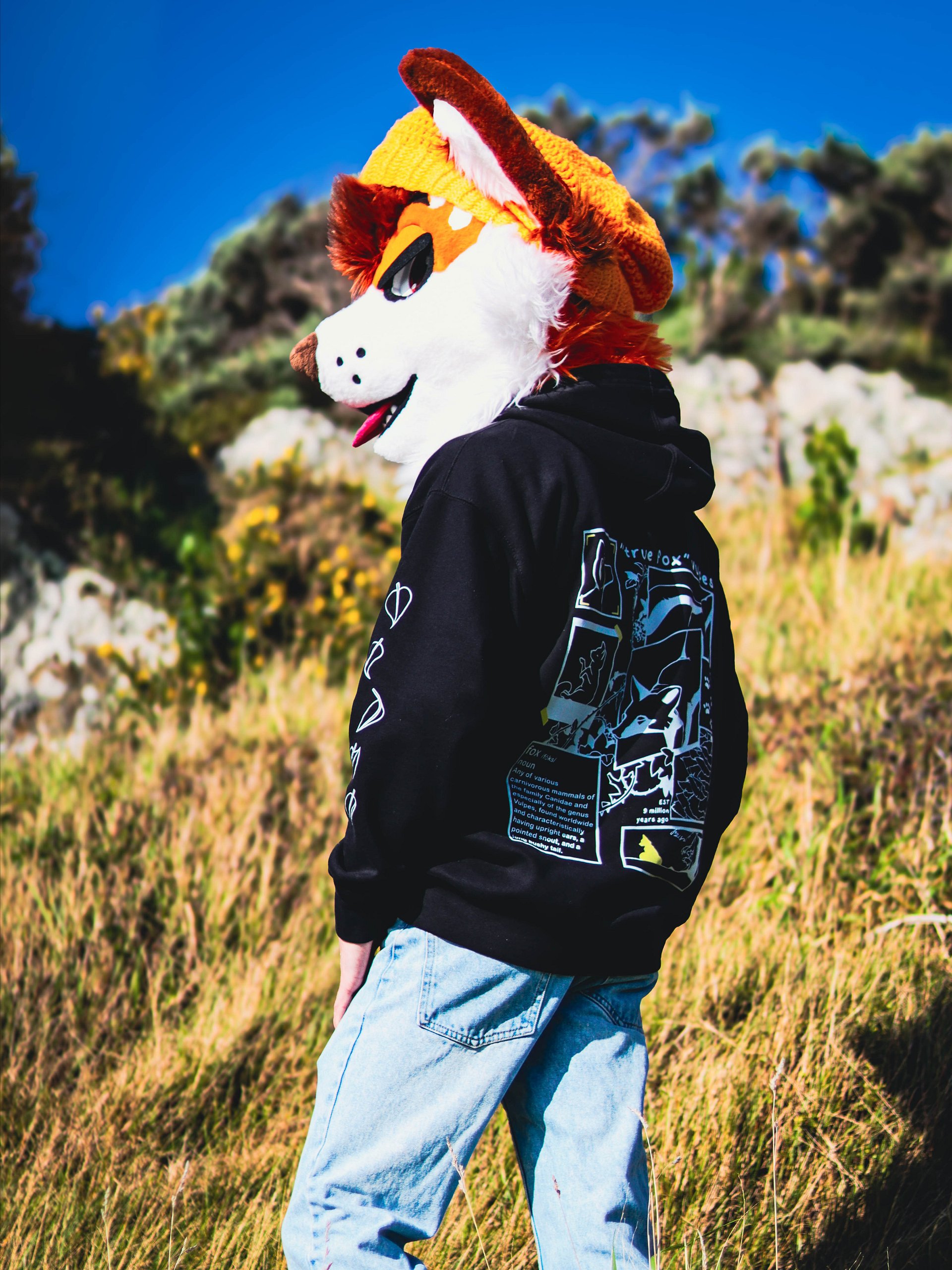 True Fox Hoodie product image (2)