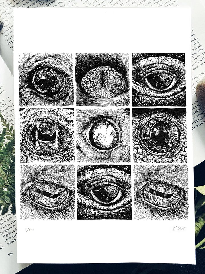 Animal Eyes | Art Print | A5 & A4 Options product image (1)