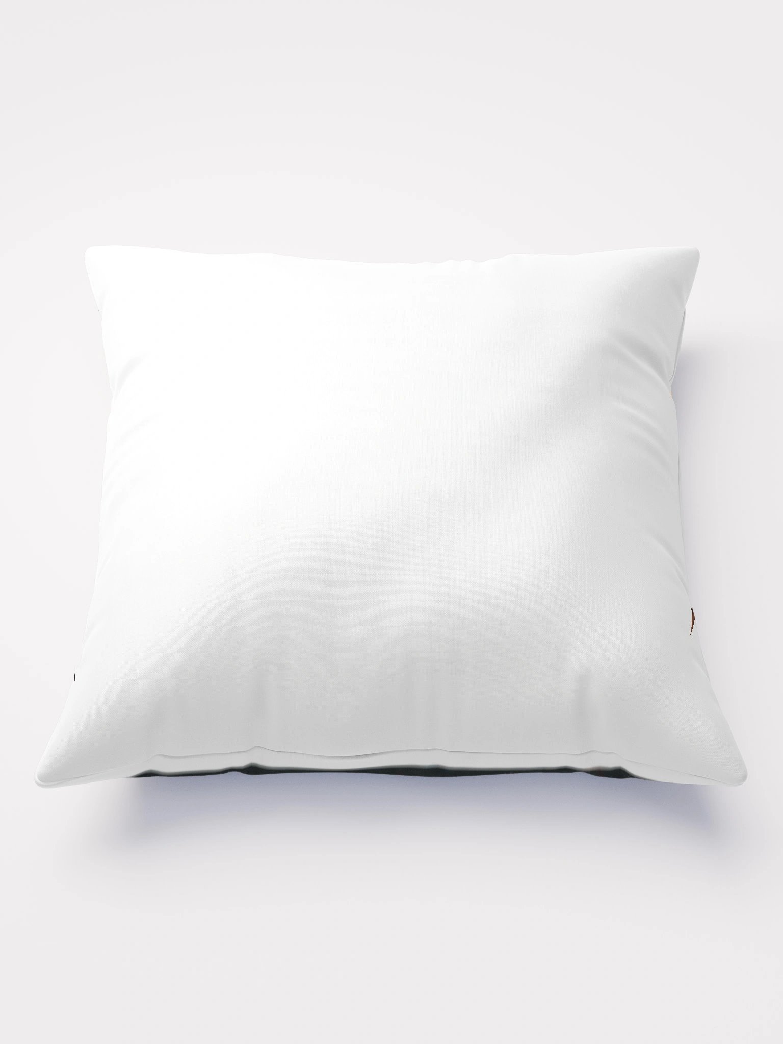 pillow product image (1)