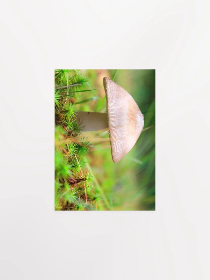 once. Print product image (2)