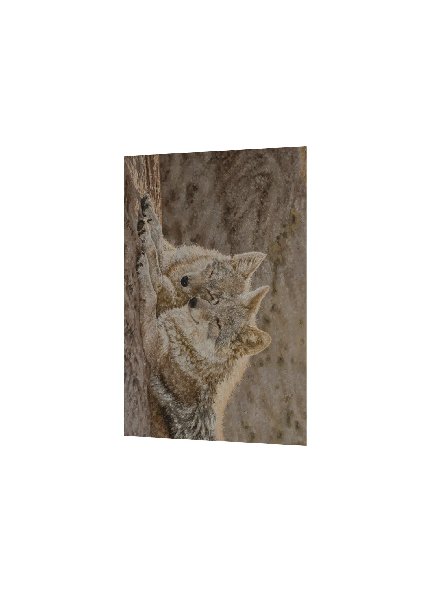 Basking Print product image (2)