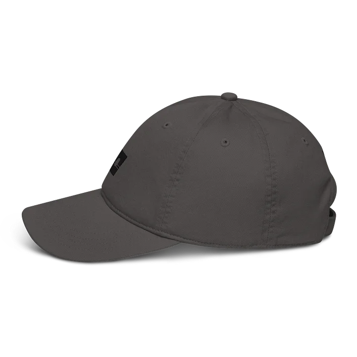 Logo Hat 001 product image (4)
