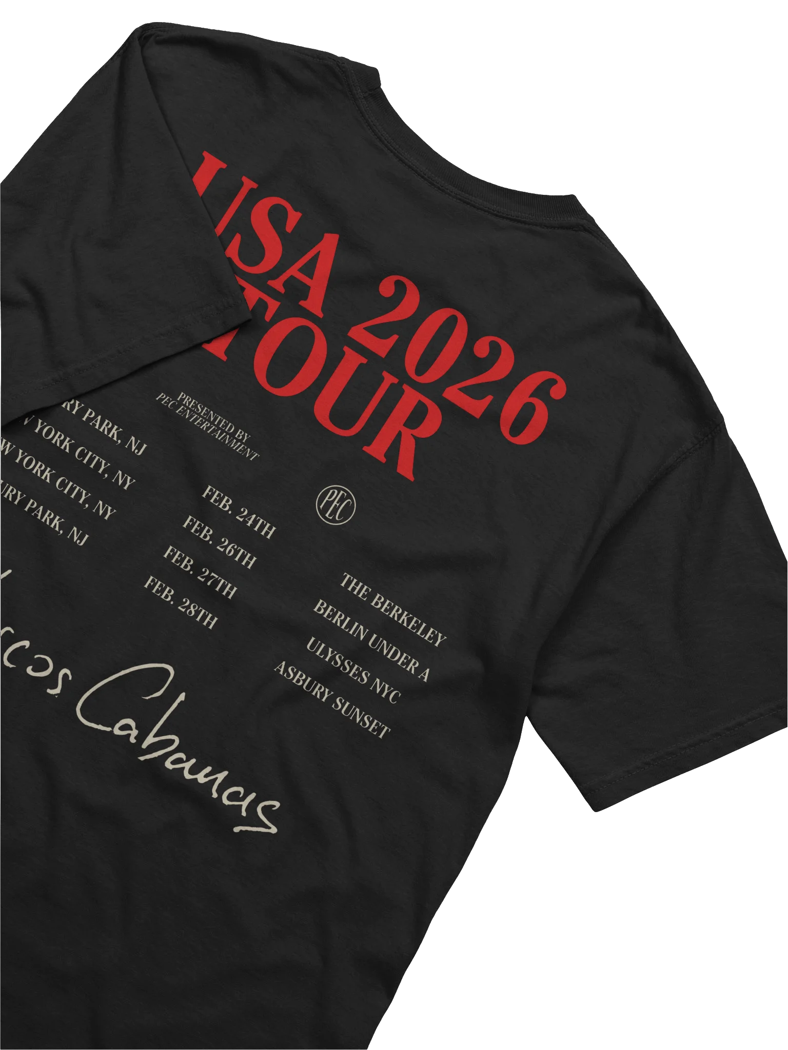 USA TOUR '26 TEE product image (6)
