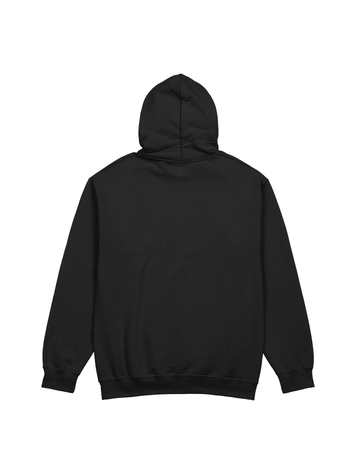 Embroidered Hoodie product image (2)