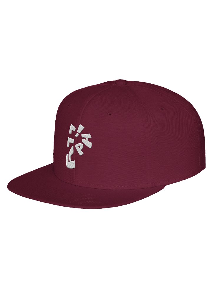 Project Groundwerk Philly Logo Snapback Cap product image (2)