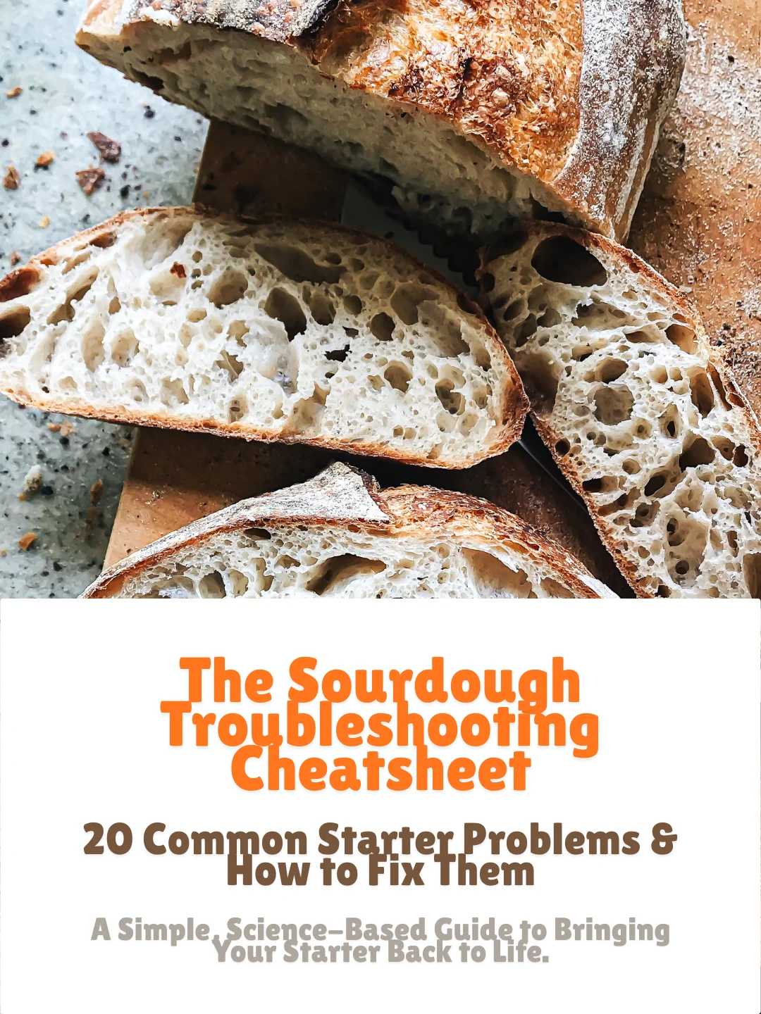 The Sourdough Troubleshooting Cheatsheet- BreadXBaker product image (1)