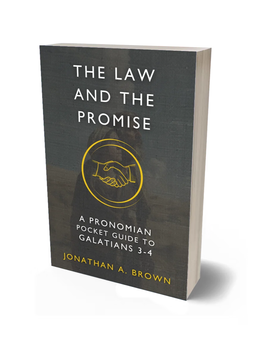 The Law and the Promise: A Pronomian Pocket Guide to Galatians 3–4 product image (1)