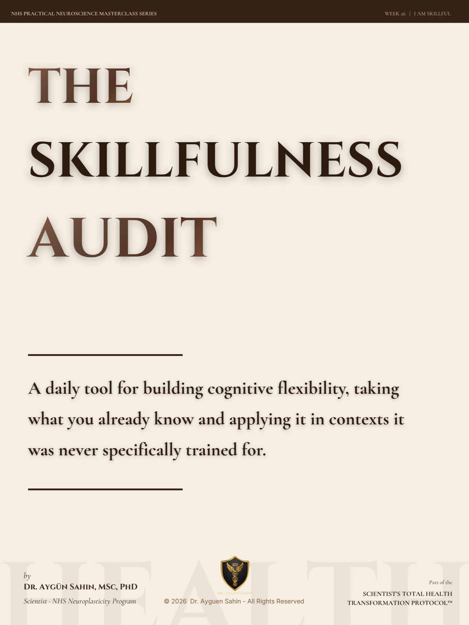 The SKILLFULNESS Audit product image (1)
