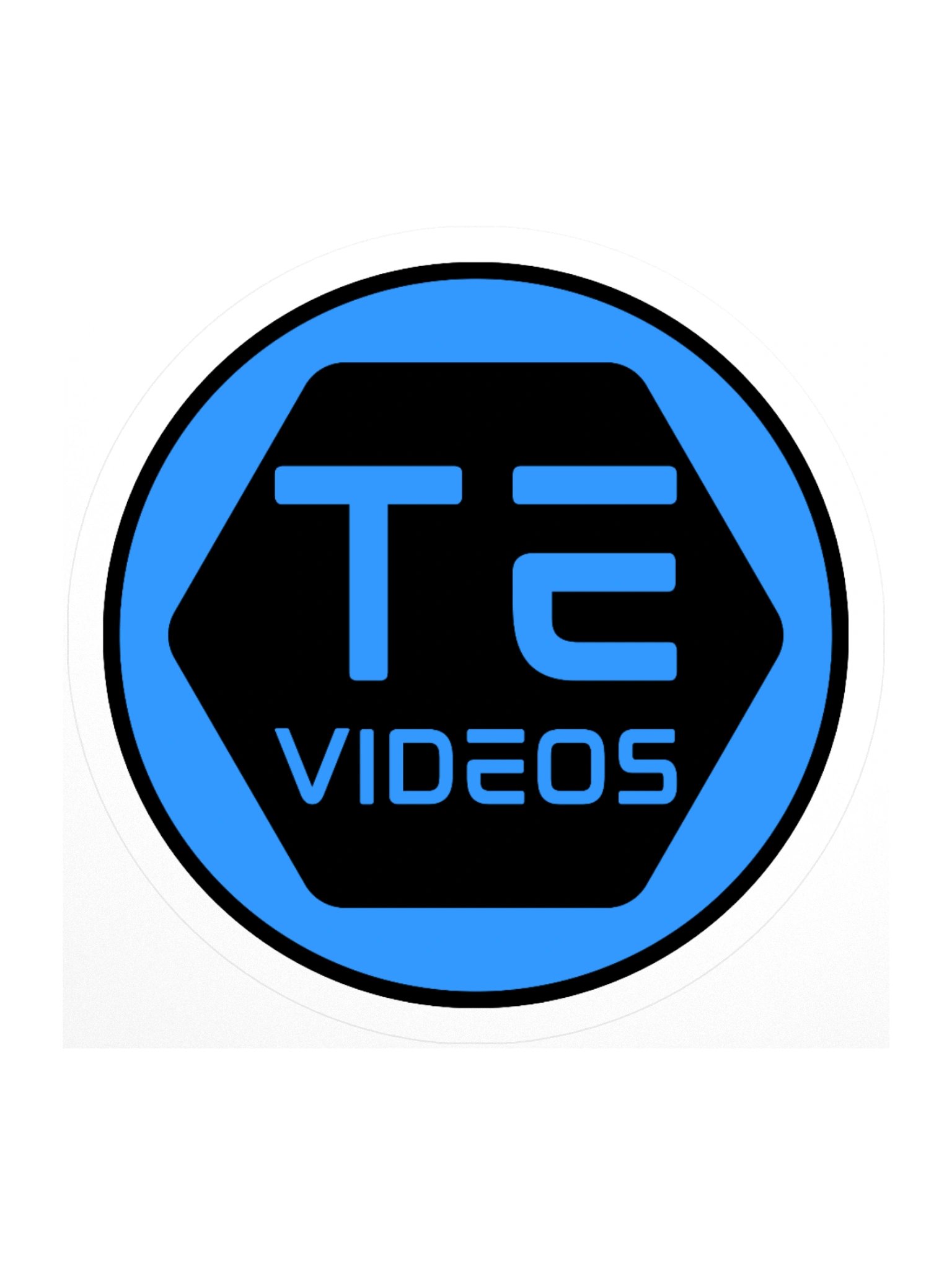 TE Logo Sticker - Blue product image (1)