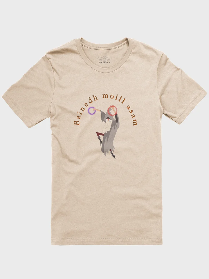 Bainedh Moill Asam (I Was Delayed) T-shirt product image (1)