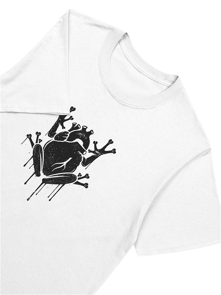 Canto del Corazón product image (2)