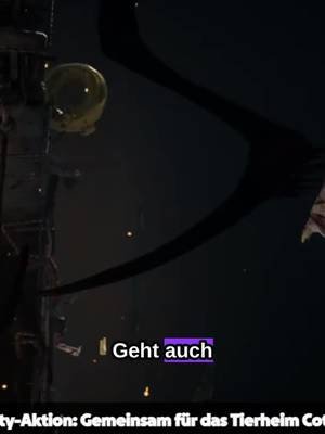 LICHT AUS – DIE JAGD BEGINNT! | DEAD BY DAYLIGHT KILLER LIVE | Road to 100 Follower | #stephtvofficial auf #Twitch #dbd #killer